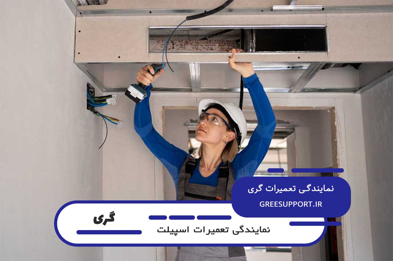 خدمات دوره ای گری پشتیبان برای اسپیلت های گری